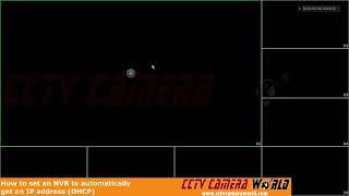 How to set an NVR to automatically get an IP address - DHCP
