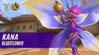 KANA Willo PALADINS COMPETITIVE (MASTER) BLASTFLOWER