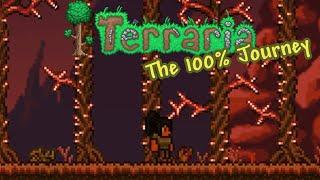 The Journey to Complete Terraria | Terraria 100%