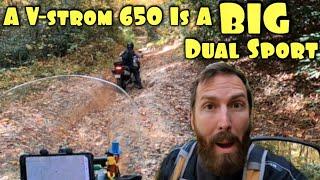 Dual Sporting On A Suzuki V-strom 650 | Rough & Rocky Trail Riding | Walking Stick Part 2