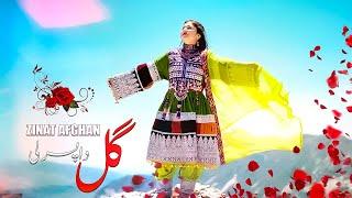 Gwal Da Pasarli | Zinat Afghan | New Pashto Songs 2024 | Pashto Afghani Songs | Official Video Song