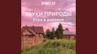 Утро в деревне (Звуки природы, БФМ релакс, ASMR, для...