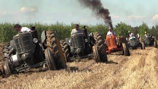 Old tractors plowing | Hot bulb Landini testacalda, FIAT OM, Porsche, Fordson, Lamborghini aratura