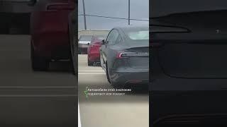 В США идут протесты против Илона Маска у офисов Tesla. Акции компании сильно упали