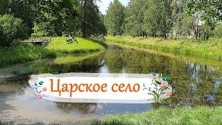 Пушкин.Царское село.Прогулка по парку.The Tsar Village.Walk in the park.Pushkin.Russia.