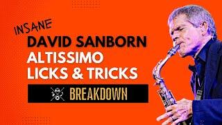 INSANE DAVID SANBORN ALTISSIMO LICKS & TRICKS (# 3 is mind blowing)