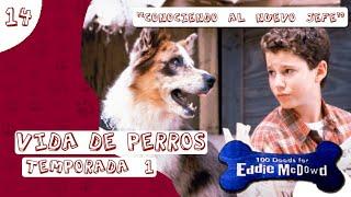 Vida de Perros (100 Deeds for Eddie McDowd) - Ep. 14, Temp. 1 "Conociendo al nuevo jefe"