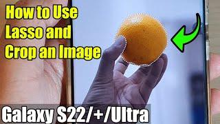 Galaxy S22/S22+/Ultra: How to Use Lasso and Crop an Image