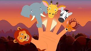 Animal Finger Family, Kindergarten Nursery Rhyme And Cartoon Video For Kids