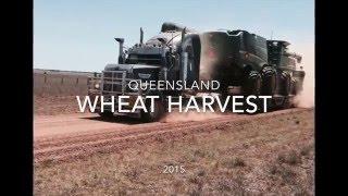 QLD Wheat Harvest 2015