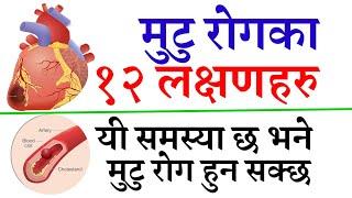 मुटु रोगका १२ लक्षणहरु || 12 SYMPTOMS OF HEART DISEASE || यी लक्षण देखिए मुटु रोग हुन् सक्छ #heart,