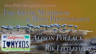 The Art of Mushroom & Myxo Photography - with Alison Pollack & Rik Littlefield