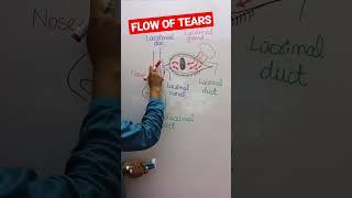 FLOW OF TEARS #Eye#Opthalmology#Medical#Health#Trending#Sorrow