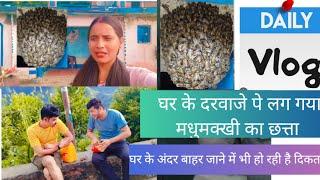 pahadi lifestyle mini vlog uttarakhand मधुमक्खी का छत्ता लग गया घर पे मधुमक्खी का कब्ज़ा मेरे घर पे