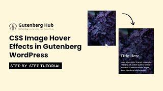 CSS Image Hover Effects in Gutenberg WordPress | WordPress design Tips and Tricks