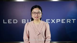 Let Vivian Zhao Tell You About The Team Work Of WELLMAX