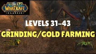 Vanilla/Classic WoW - Low Level Gold Farming & Experience Grinding | Levels 31-43