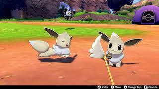 Shiny Eevee runs in place for 30 seconds straight