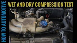 How To Perform A Wet And Dry Compression Test And How To Read The Results