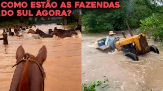 VEJA COMO ESTÃO AS FAZENDAS DO RIO GRANDE DO SUL NO ALAGAMENTO