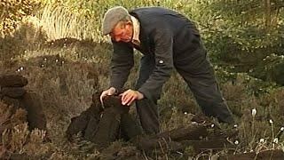 Working on the bog - Cutting the turf in Ireland