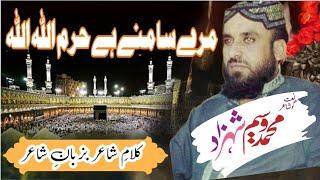 Mery Samny Hai Haram Allah Allah || Waseem Shahzad New Kalam