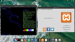 How to Install XAMPP on Kali Linux 2024 | Xampp Installation on Kali Linux | Xampp Server Kali