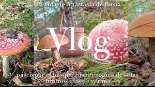 #La vida en un pueblo ruso | Vlog| Agosto| Rusia