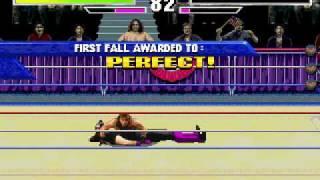 Shawn Michaels vs Undertaker.avi