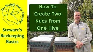 How to Split a Beehive into 2 Nucs and Parent Colony #Beekeeping Basics  - The Norfolk Honey Co