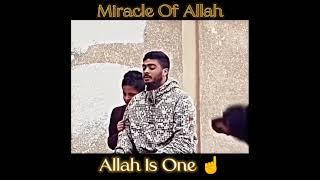 Miracle of Allah ️||