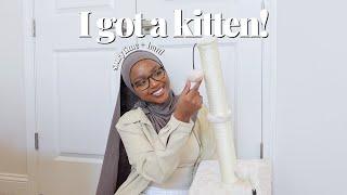 i adopted a kitten..  let's prep!
