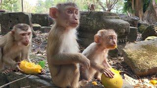 The Lively Morning Breakfast Baly And Tinky Looks So Yummy