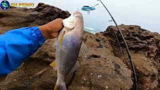 Pescador Lanza su Vinilo al Mar logrando Increíble Pesca de LENGUADO Y CORVINA!