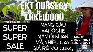 Super Super Sale EKT Nursery Lakewood Đại Hạ Giá Cho Đến Hết Tuần Này tt776