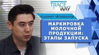 Маркировка молочной продукции: этапы внедрения запуска обязательной маркировки