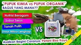  #44 Pupuk Kimia VS Pupuk Organik Bagus Mana?