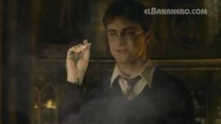 EL BANANERO - HARRY 'EL DROGADICTO' POTTER