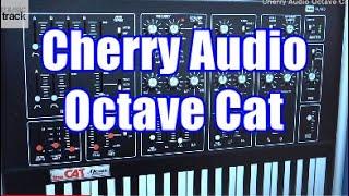 Cherry Audio Octave Cat Demo & Review