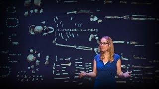 How a new species of ancestors is changing our theory of human evolution | Juliet Brophy