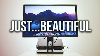 The best $499 monitor for the PROS?!