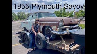 1955 Plymouth Savoy im calling Chips ahoy, Savoy