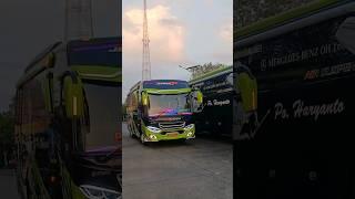 Tayo Po Haryanto #medium #haryantomania #haryanto #poharyanto #tayo #viral #shorts #beranda