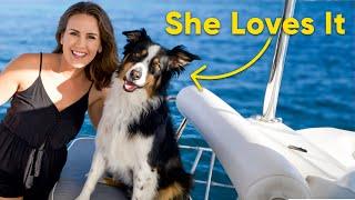 BOAT LIFE With A DOG (Why It's The BEST)