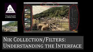 Nik Collection/Filters: Understanding the Interface