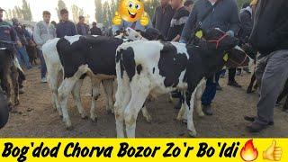 Bozor Zo'rBog'dod Chorva Bozor Zo'r Bo'ldi | Novvos Sigir Xunojin Narxlari