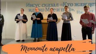 #164 Акапельное пение Меннонитов. Mennonite acapella singing