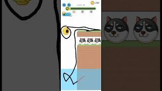 Save the 3 husky dog funny gameplay #shorts #cartoon #game #husky #dog #gameplay #save #tiktok