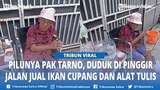 VIRAL Momen Pilu Pak Tarno Jual Ikan Cupang Duduk di Kursi Roda di Jalan, Dulu Wara Wiri di TV