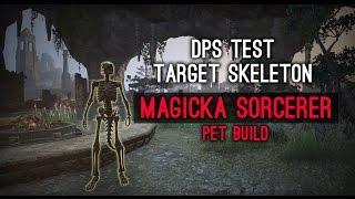 DPS Test Magicka Pet Sorcerer Target Skeleton - Homestead